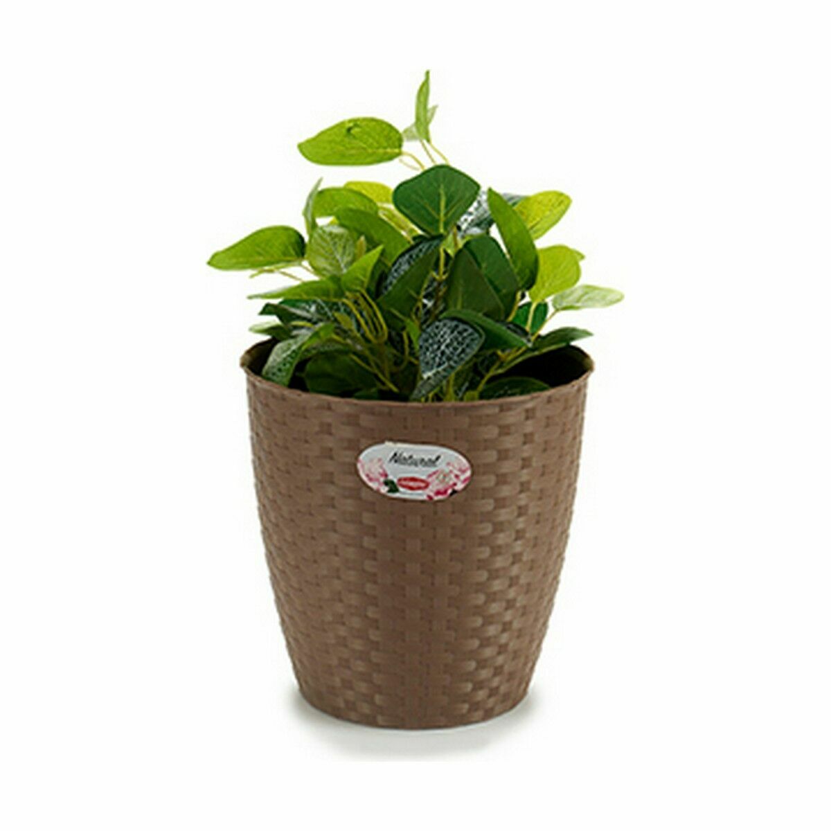 Planter Stefanplast Brown Plastic 24 x 22,5 x 24 cm (6 Units)