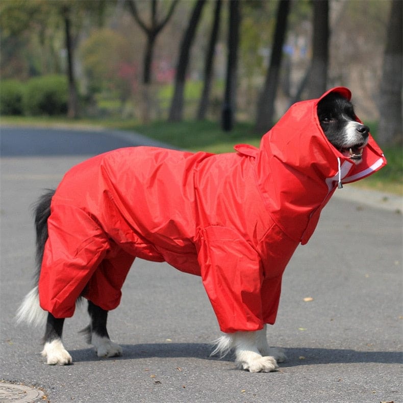 Dog Raincoat-Waterproof Jumpsuit - YOKE FINDS 🇮🇪 IE 