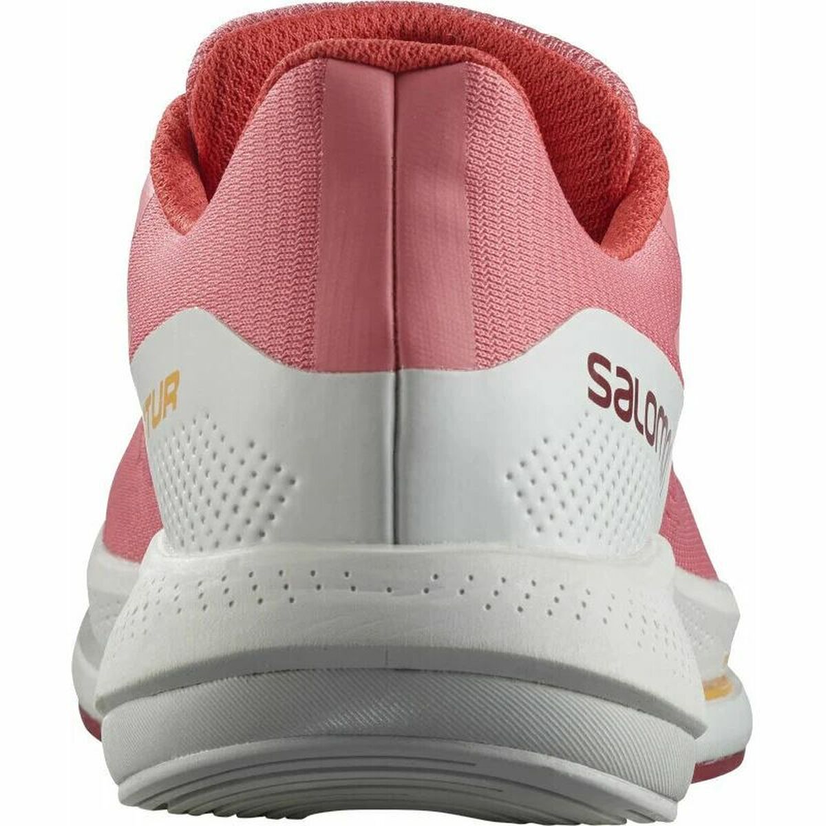 Sports Trainers for Women Salomon Spectur Pink