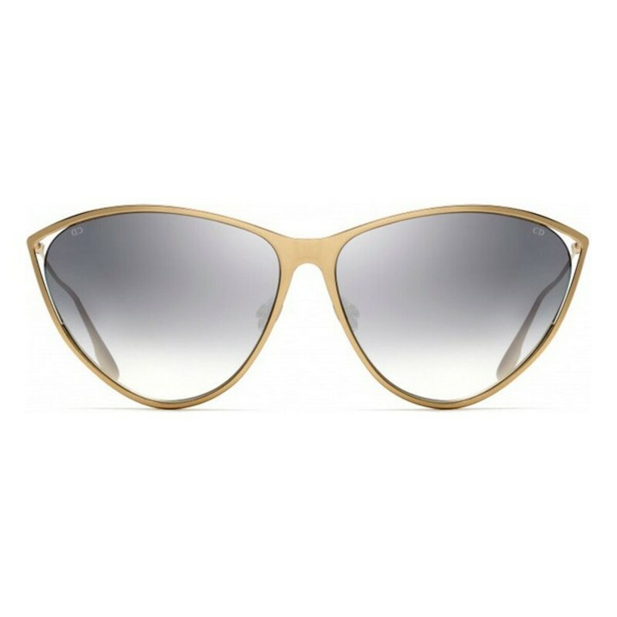 Ladies' Sunglasses Dior NEWMOTARD-000