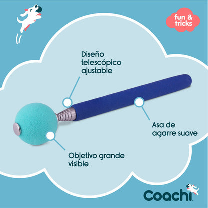 Training toy Coachi Stick Blue