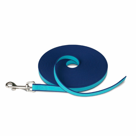 Dog Lead Coachi Training Blue