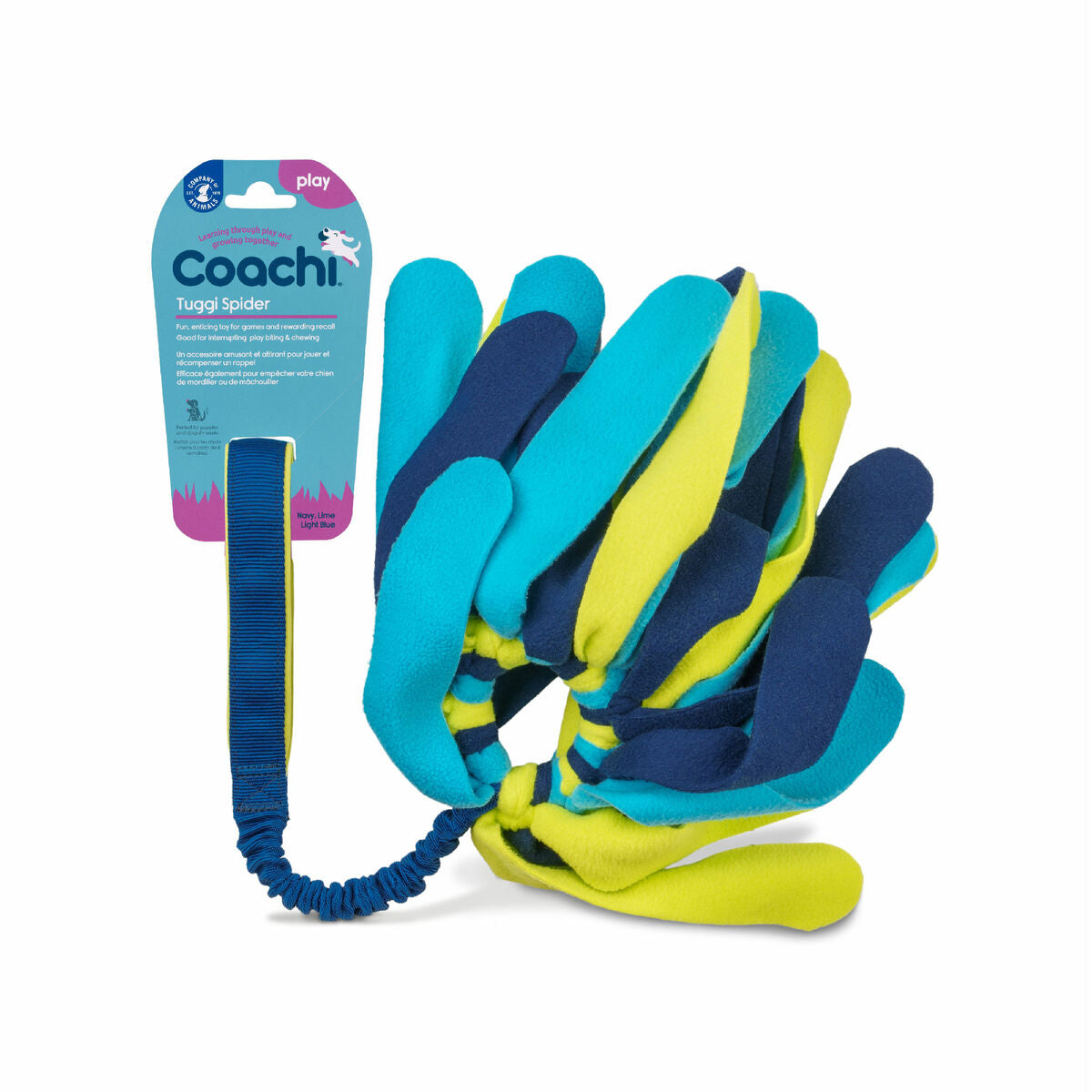 Training toy Coachi TUGGI SPIDER Blue