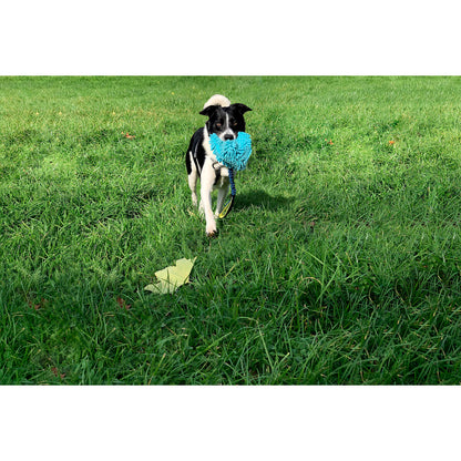 Training toy Coachi TUGGI HIDE Blue