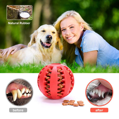 Rubber Balls Chewing Pet Toys - yokefinds.ie