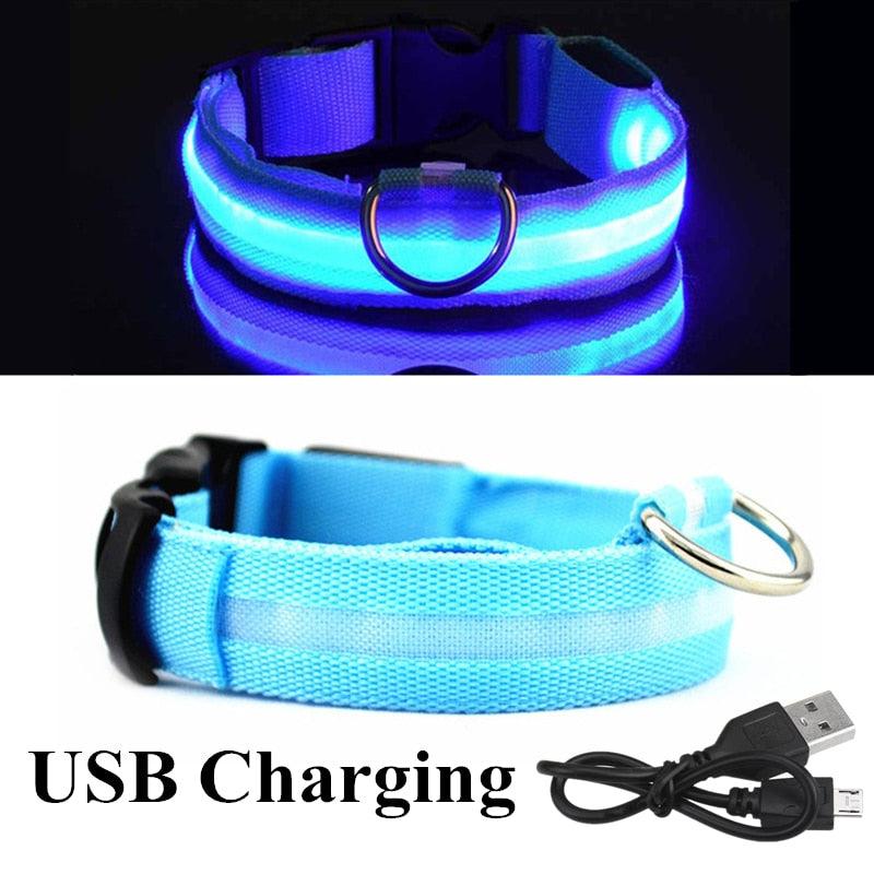 Adjustable LED Glowing Pet Collar - yokefinds.ie