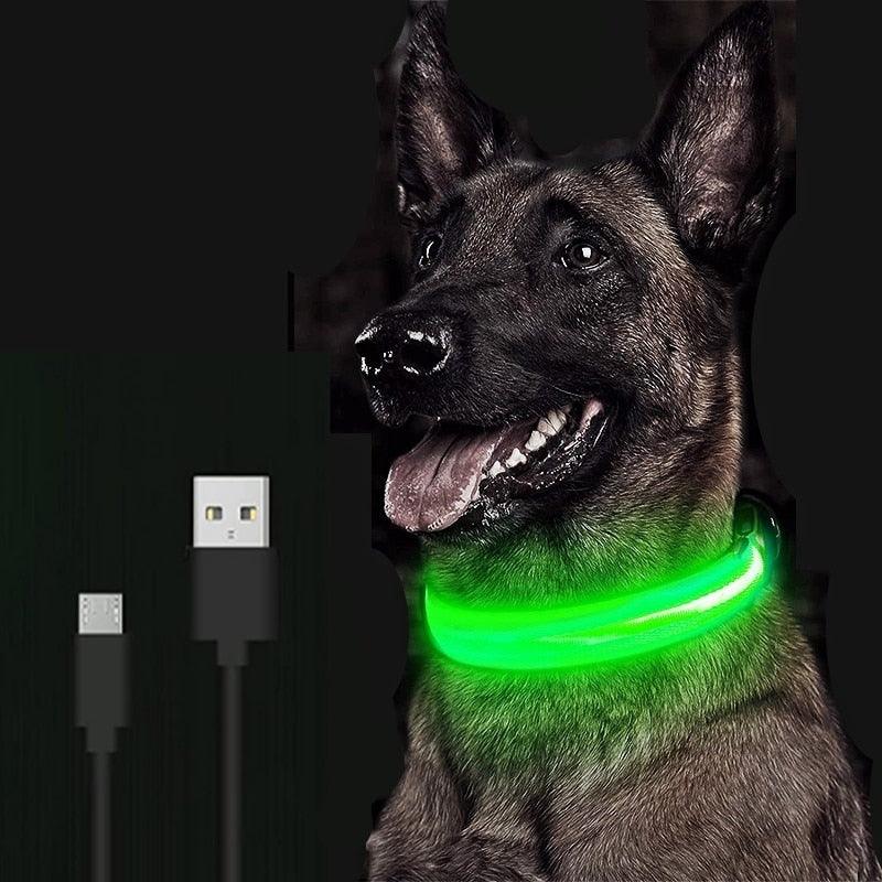 Adjustable LED Glowing Pet Collar - yokefinds.ie