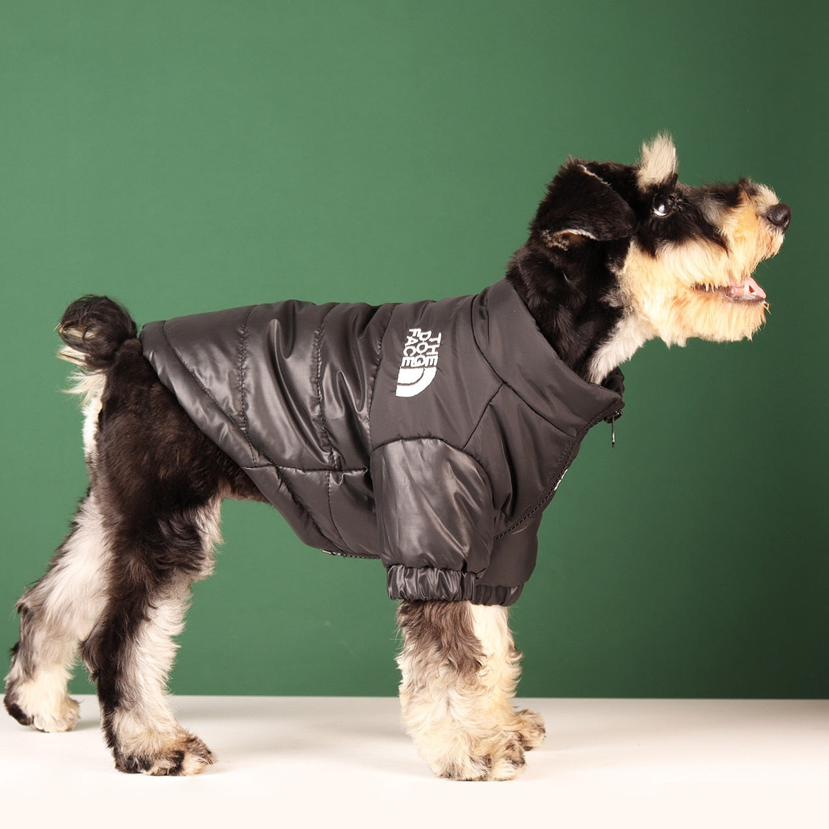 Windproof Reflective Dog Jacket - YOKE FINDS 🇮🇪 IE 