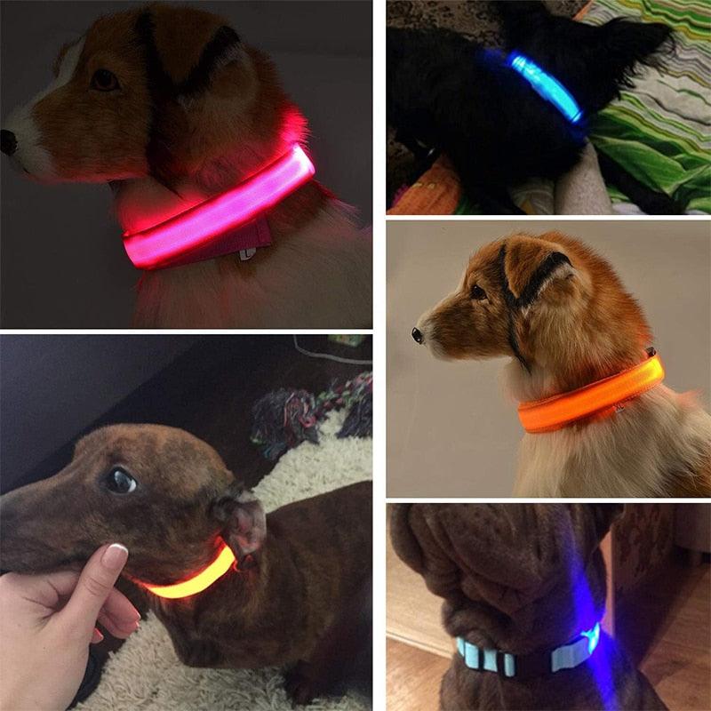 Adjustable LED Glowing Pet Collar - yokefinds.ie