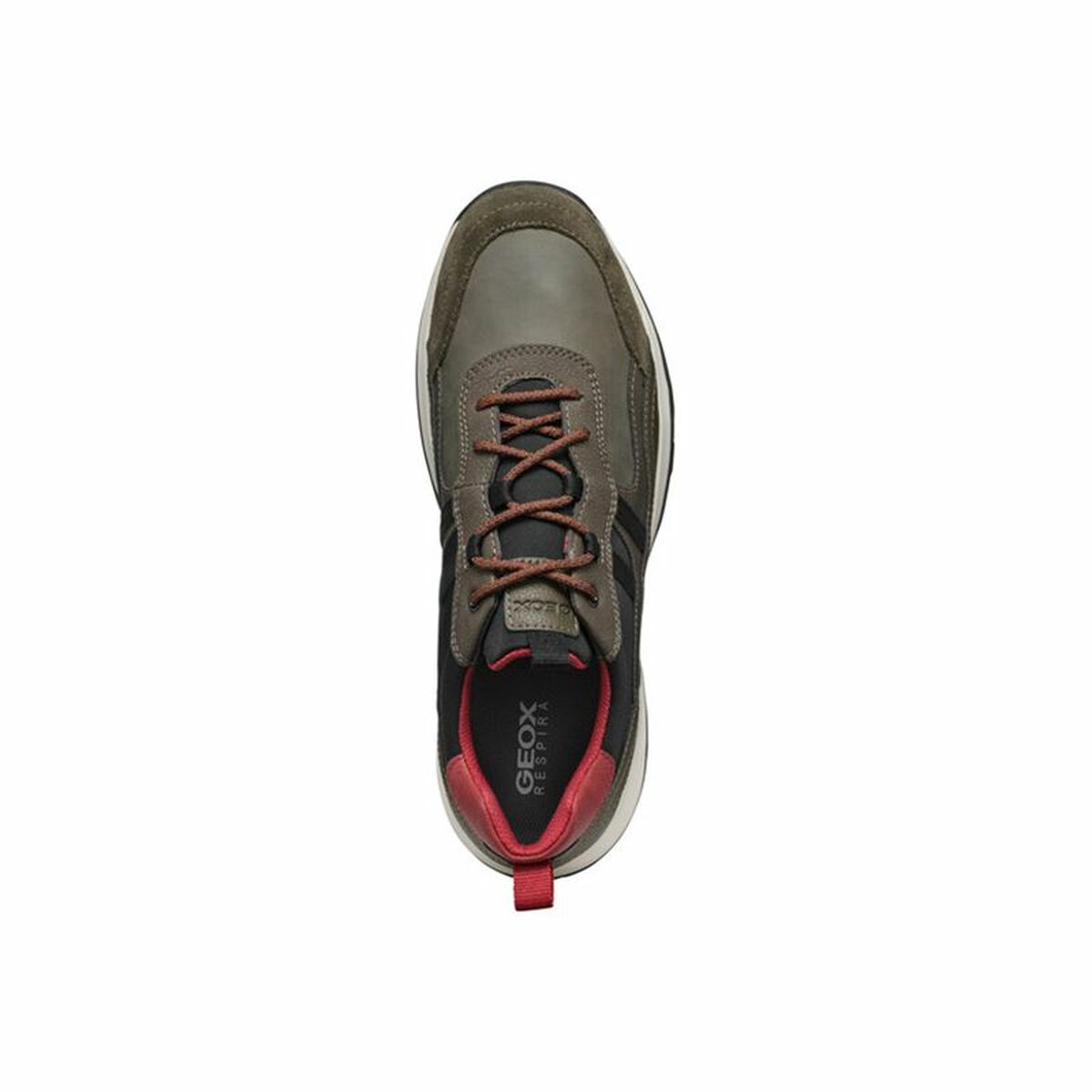 Trainers Geox Terrestre Brown