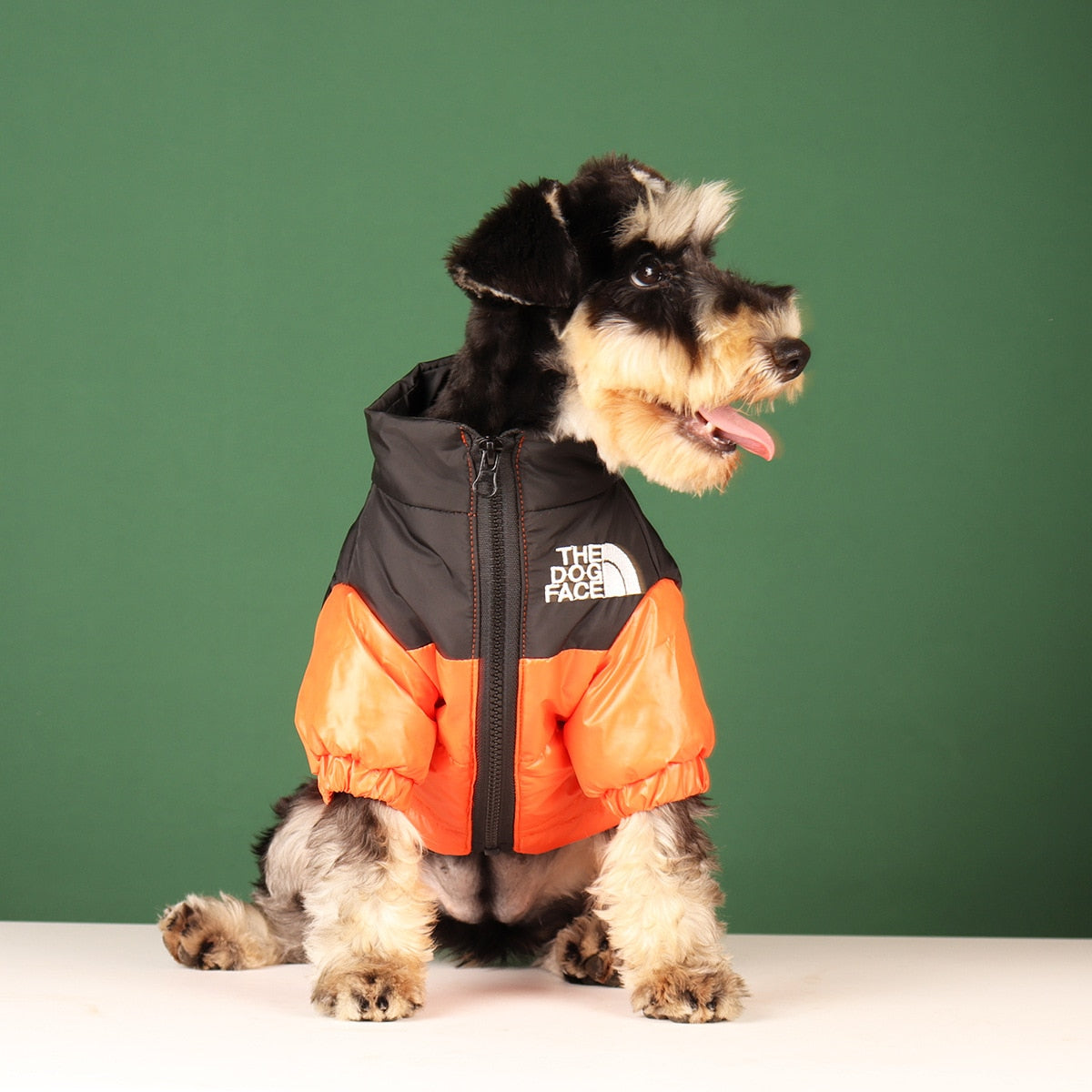 Windproof Reflective Dog Jacket - YOKE FINDS 🇮🇪 IE 