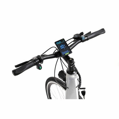 Electric Bike Youin BK1500 NEW YORK 29" 250W