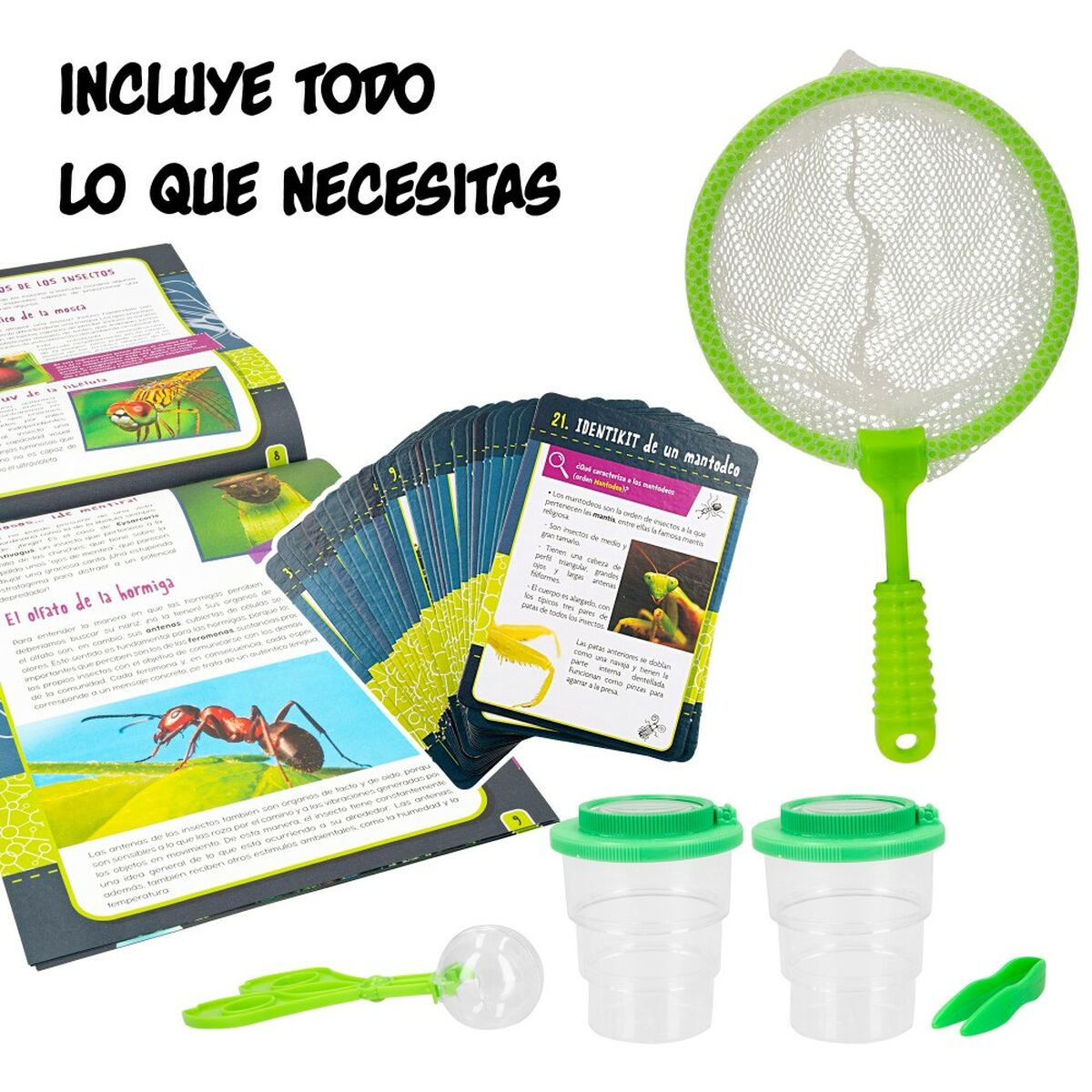 Science Game Lisciani Insectos ES (6 Units)