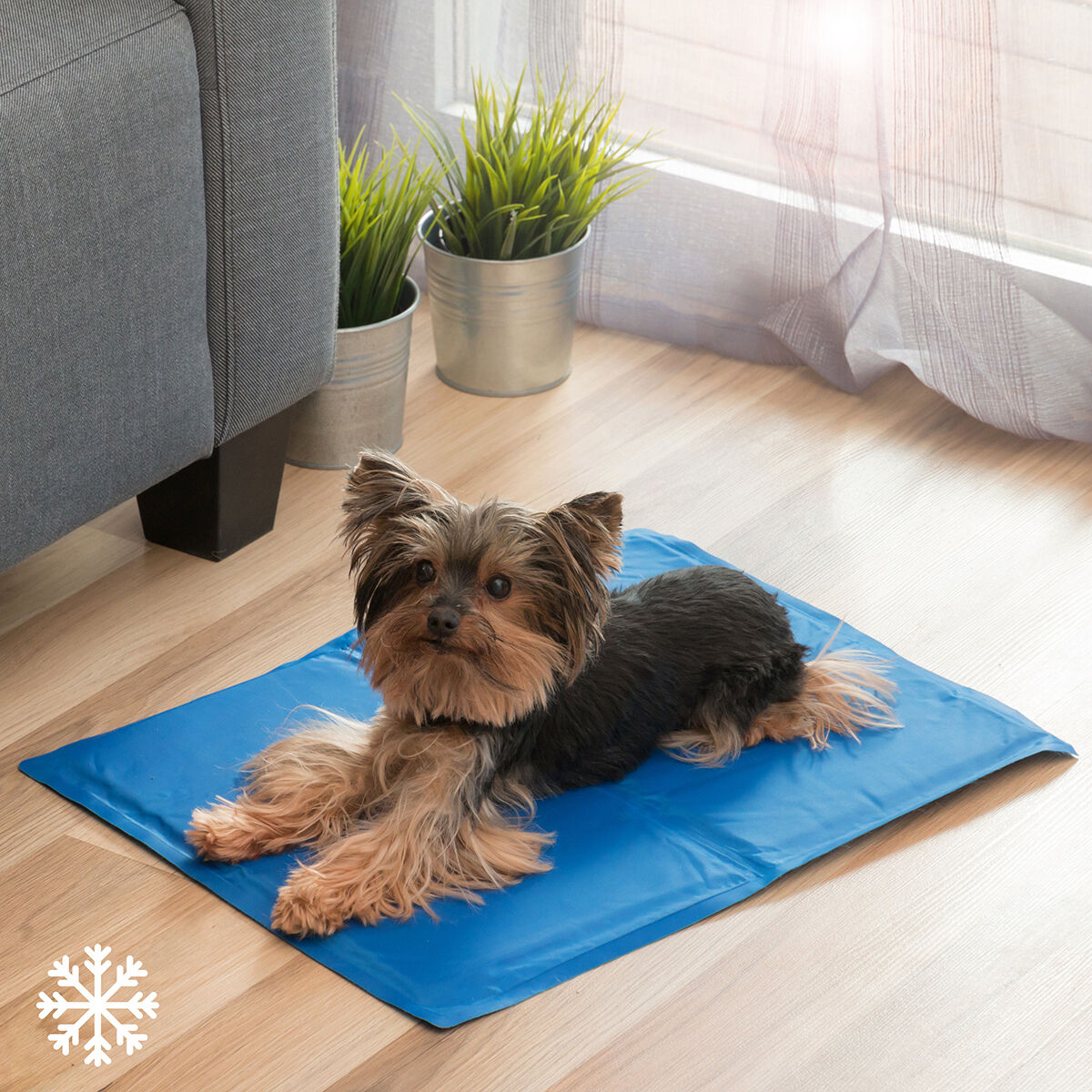 Refreshing Pet Mat Colet InnovaGoods 40 x 50 cm