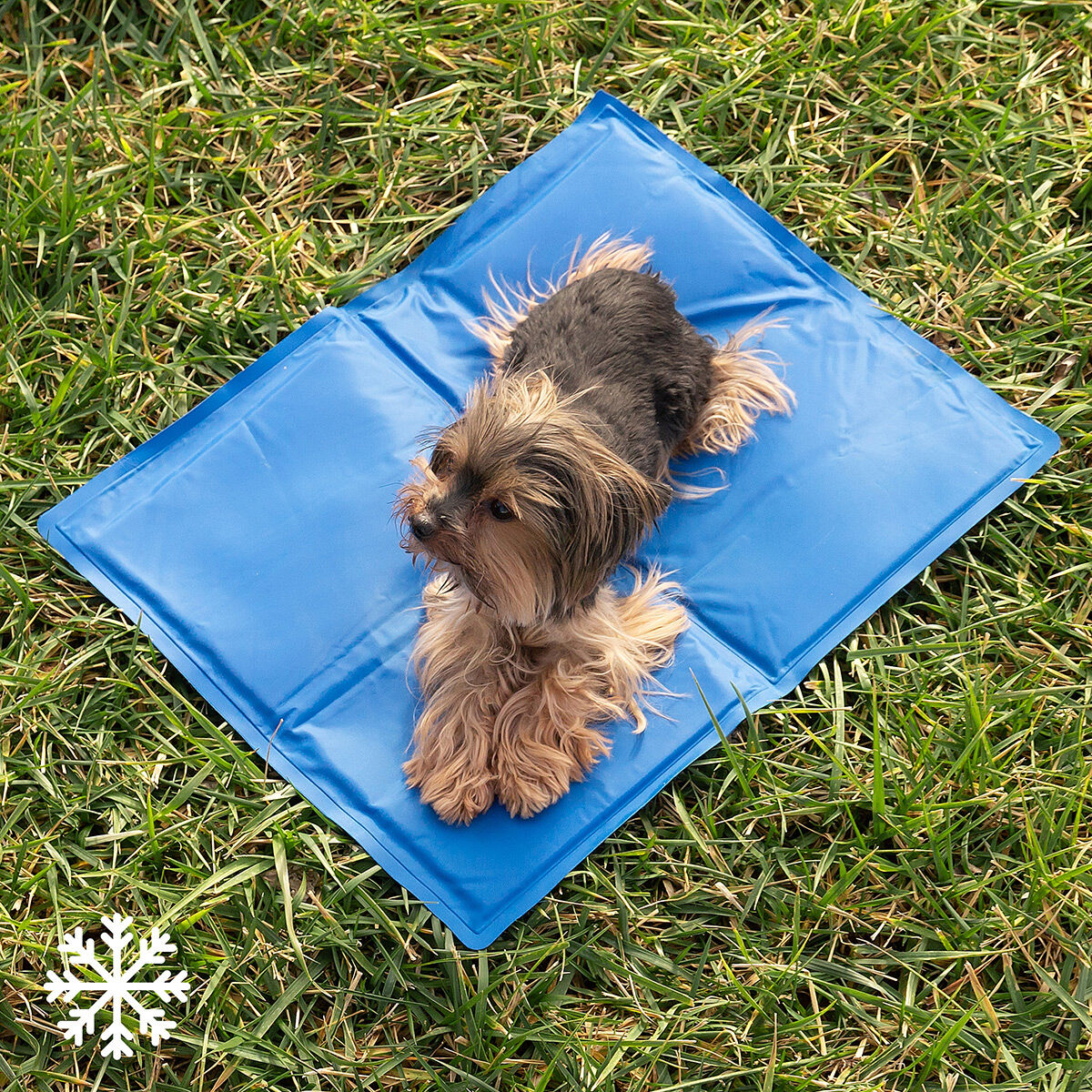 Refreshing Pet Mat Colet InnovaGoods 40 x 50 cm