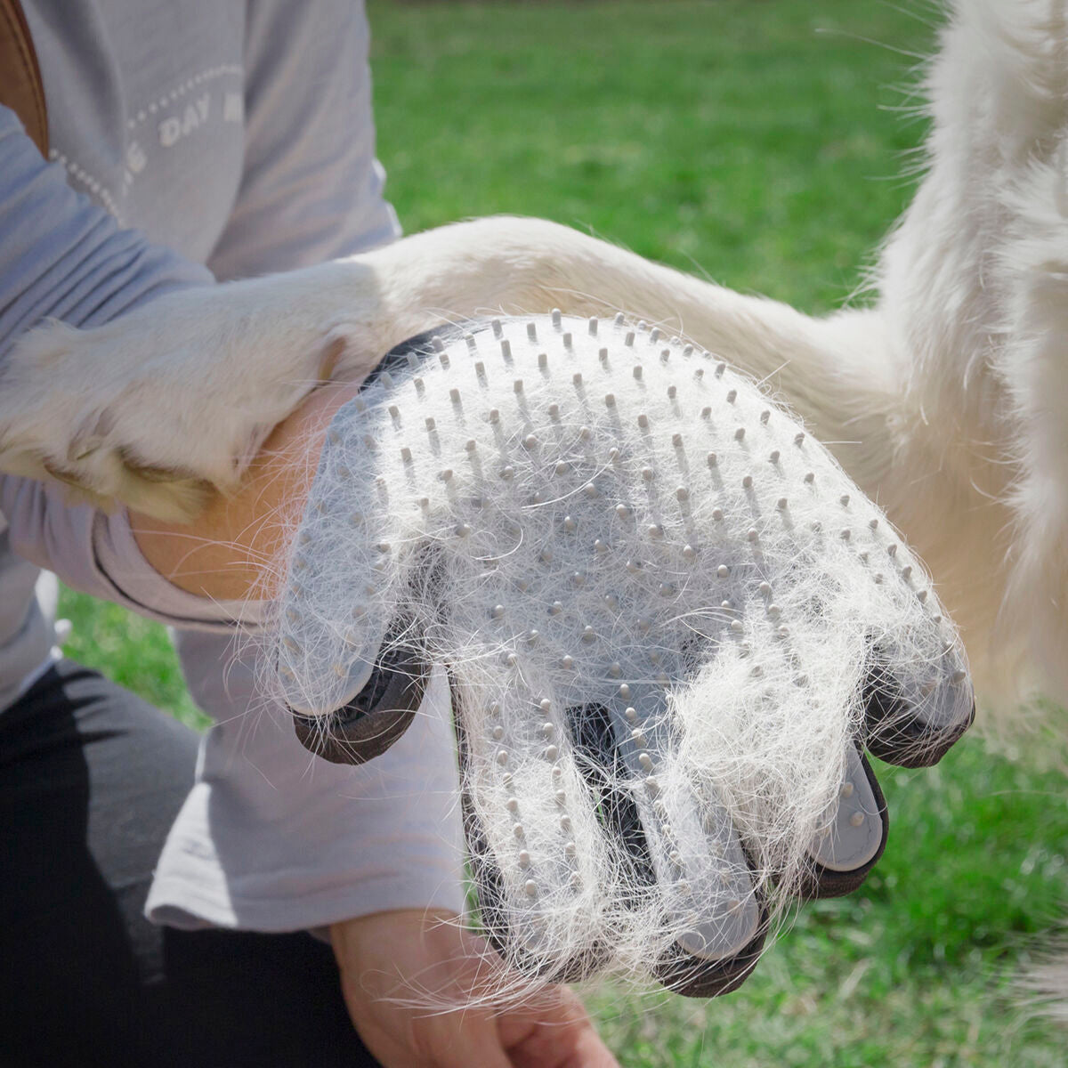 Pet Brush & Massage Glove Relpet InnovaGoods