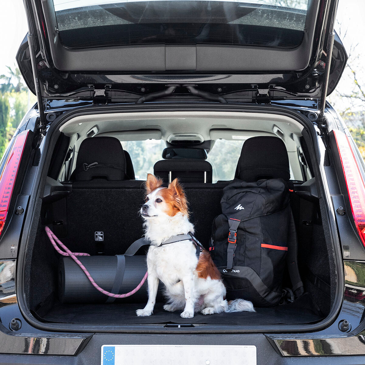 Individual Protective Car Seat Cover for Pets KabaPet InnovaGoods