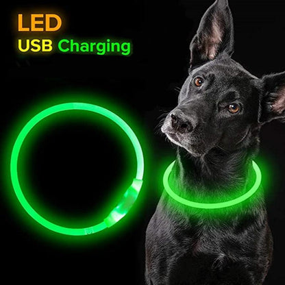 LED Waterproof Dog Collars - yokefinds.ie