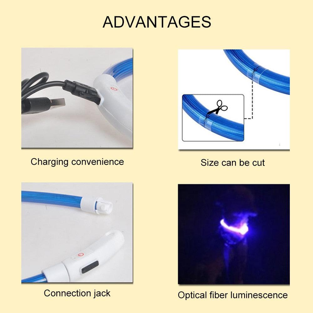 LED Waterproof Dog Collars - yokefinds.ie